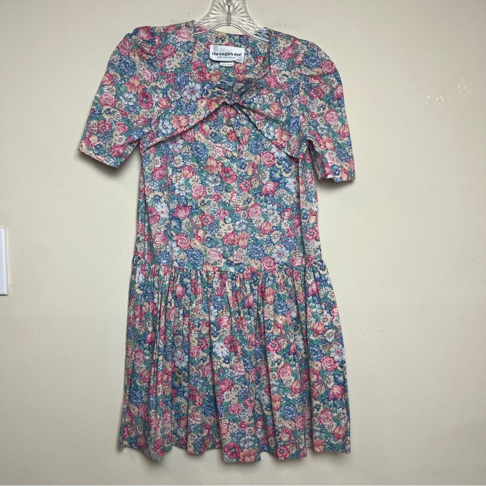 VTG The Eagle's Eye for Children 80s Pink Roses Toddler Prairie Dress 10 USA